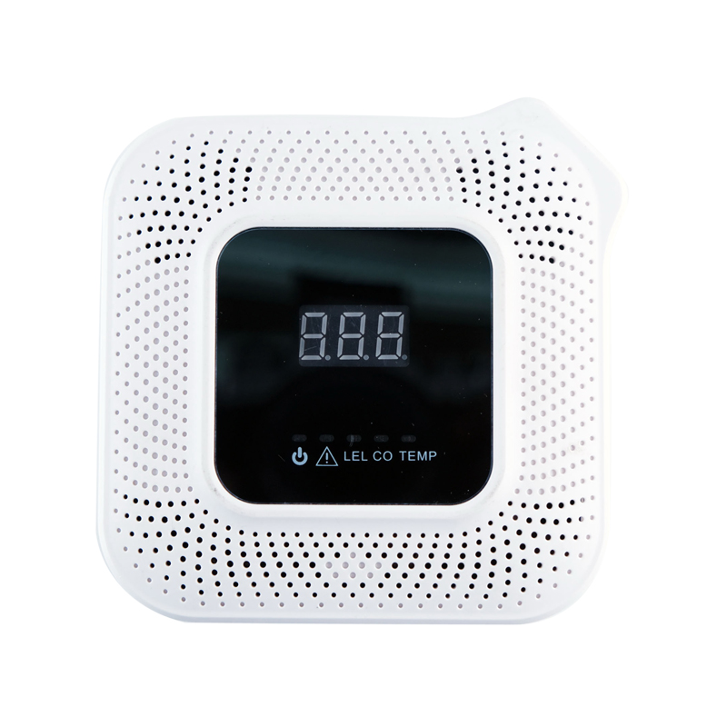 HSC1200智能语音双气体报警器