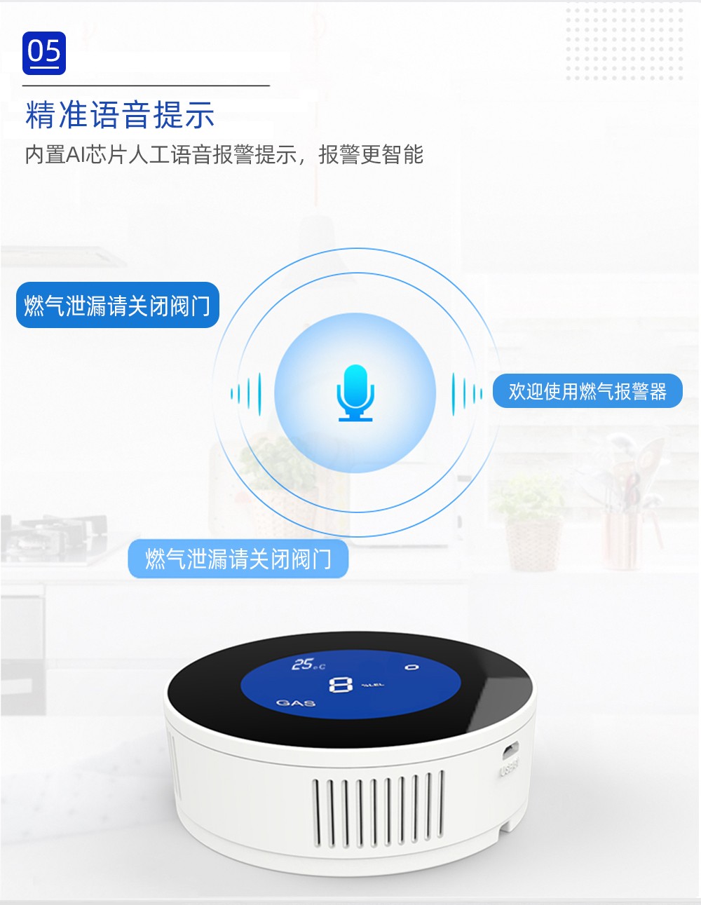 家用无线智能燃气报警器HSM1000-2